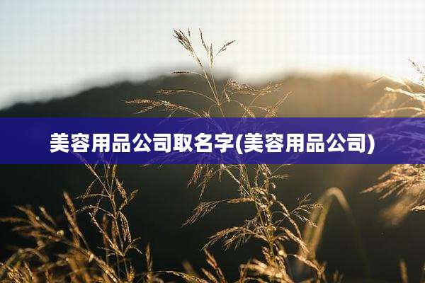 美容用品公司取名字(美容用品公司)
