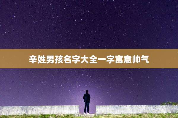 辛姓男孩名字大全一字寓意帅气
