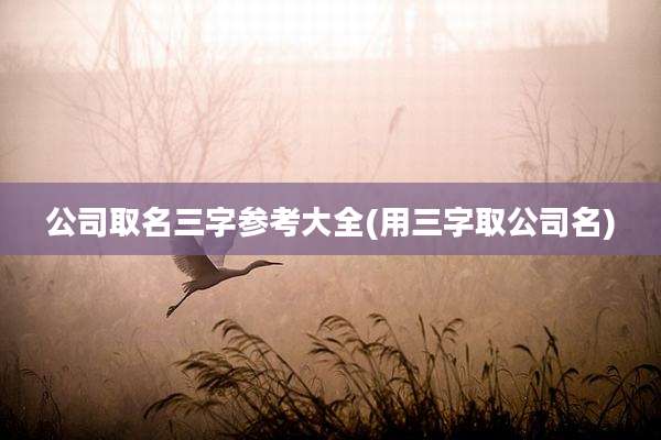 公司取名三字参考大全(用三字取公司名)