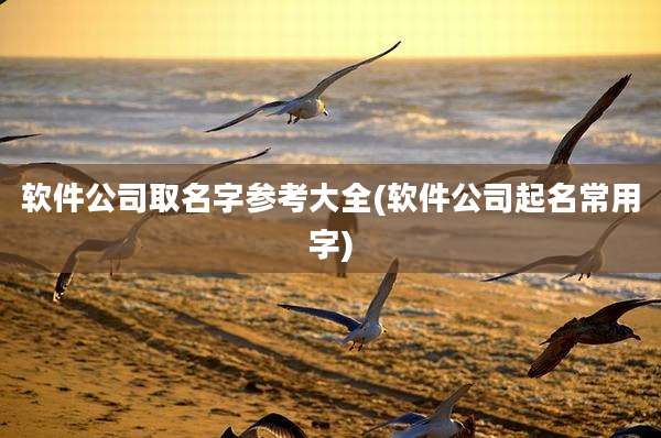 软件公司取名字参考大全(软件公司起名常用字)