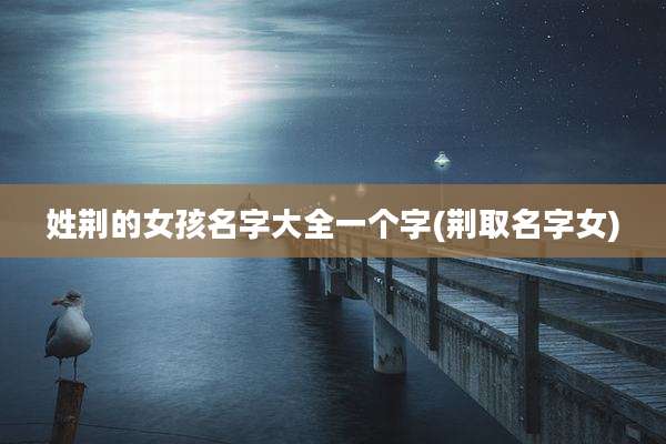 姓荆的女孩名字大全一个字(荆取名字女)