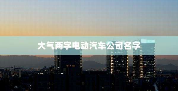 大气两字电动汽车公司名字