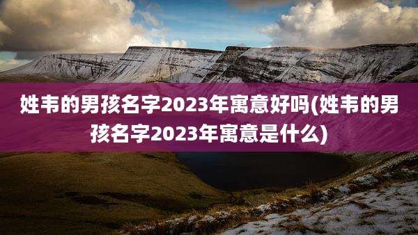 姓韦的男孩名字2023年寓意好吗(姓韦的男孩名字2023年寓意是什么)