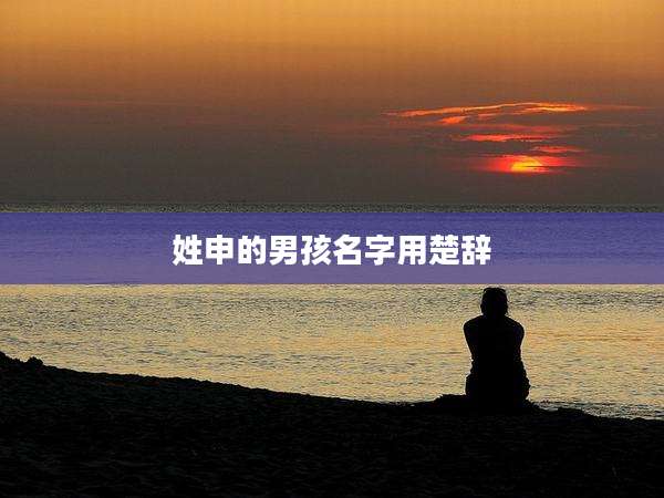 姓申的男孩名字用楚辞