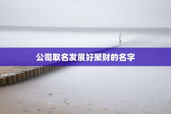 公司取名发展好聚财的名字
