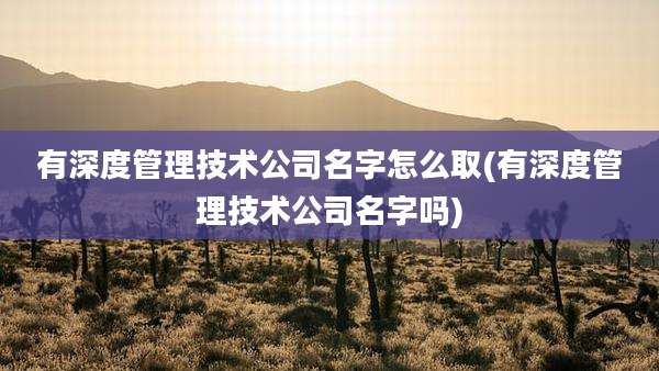有深度管理技术公司名字怎么取(有深度管理技术公司名字吗)