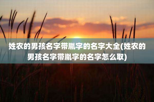 姓农的男孩名字带胤字的名字大全(姓农的男孩名字带胤字的名字怎么取)