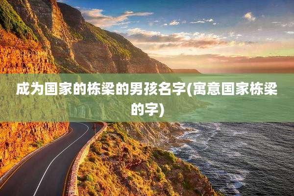 成为国家的栋梁的男孩名字(寓意国家栋梁的字)