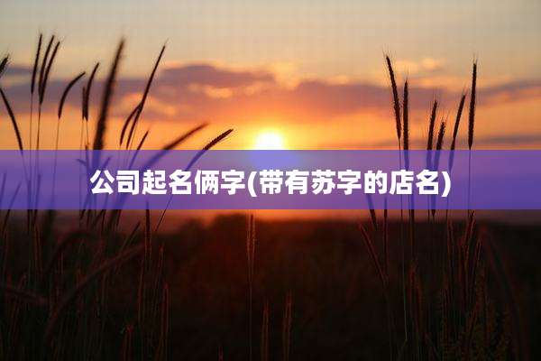 公司起名俩字(带有苏字的店名)