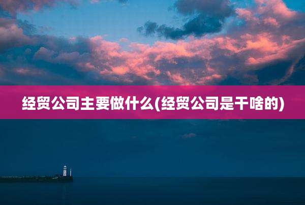 经贸公司主要做什么(经贸公司是干啥的)