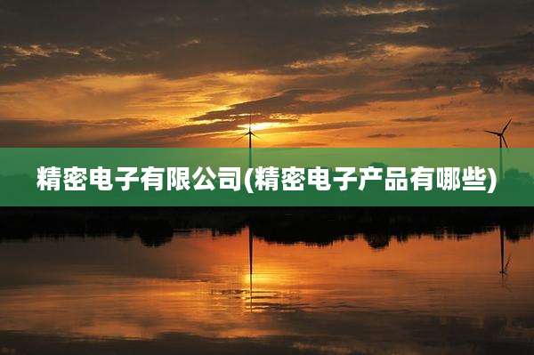 精密电子有限公司(精密电子产品有哪些)