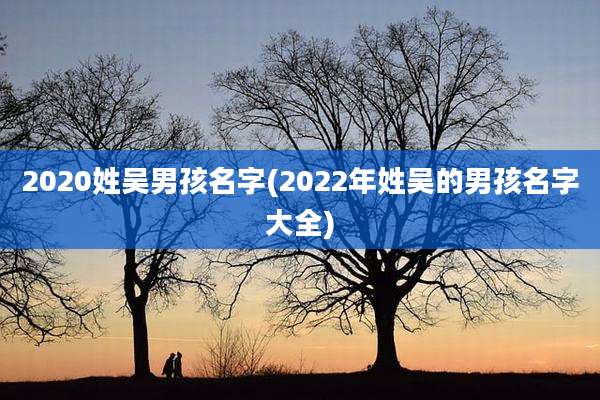 2020姓吴男孩名字(2022年姓吴的男孩名字大全)