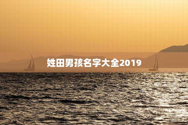 姓田男孩名字大全2019
