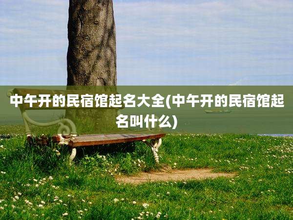 中午开的民宿馆起名大全(中午开的民宿馆起名叫什么)