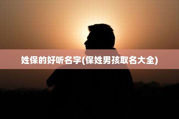 姓保的好听名字(保姓男孩取名大全)
