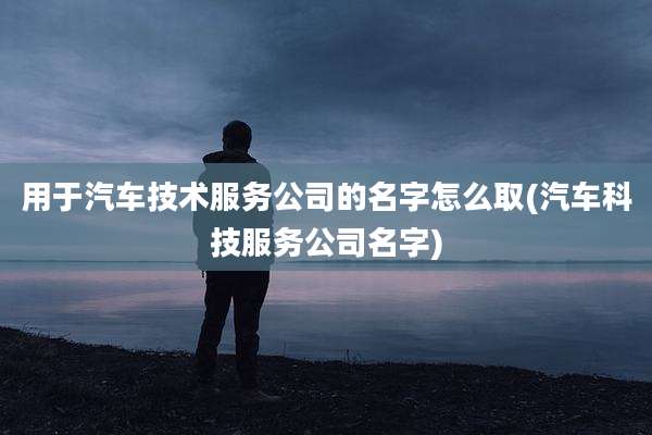 用于汽车技术服务公司的名字怎么取(汽车科技服务公司名字)