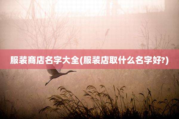 服装商店名字大全(服装店取什么名字好?)