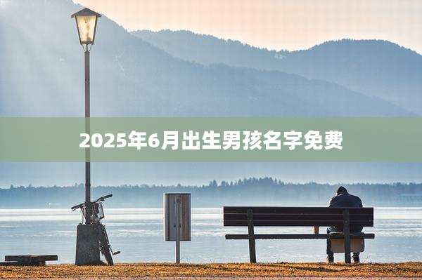 2025年6月出生男孩名字免费
