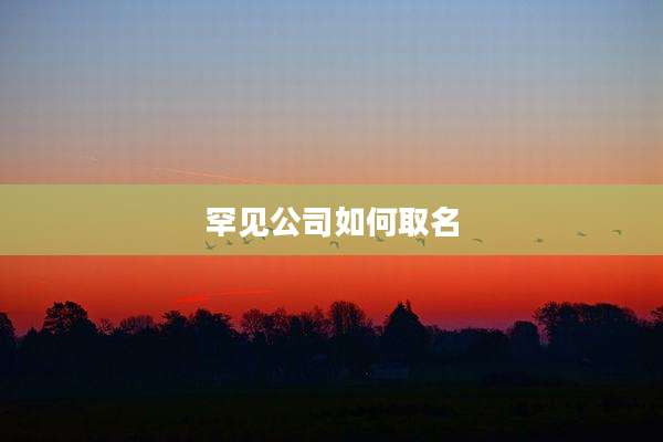 罕见公司如何取名