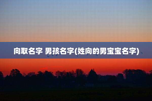 向取名字 男孩名字(姓向的男宝宝名字)