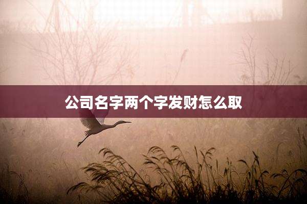 公司名字两个字发财怎么取