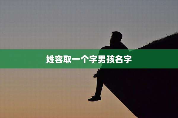 姓容取一个字男孩名字