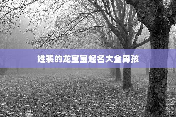 姓裴的龙宝宝起名大全男孩