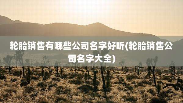 轮胎销售有哪些公司名字好听(轮胎销售公司名字大全)