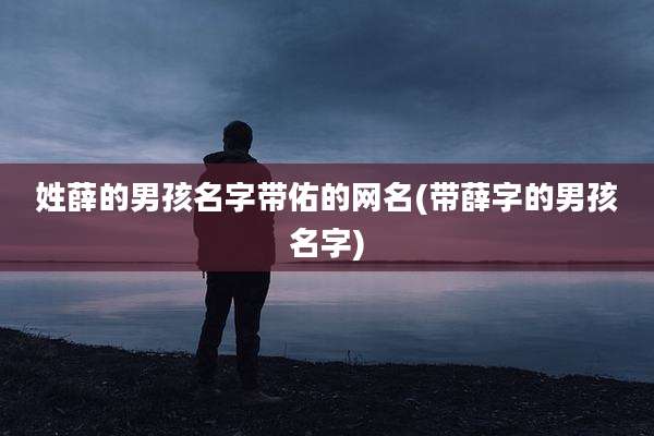 姓薛的男孩名字带佑的网名(带薛字的男孩名字)