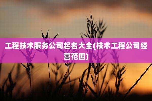 工程技术服务公司起名大全(技术工程公司经营范围)