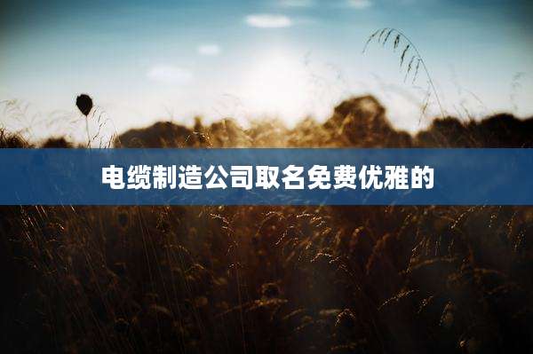 电缆制造公司取名免费优雅的