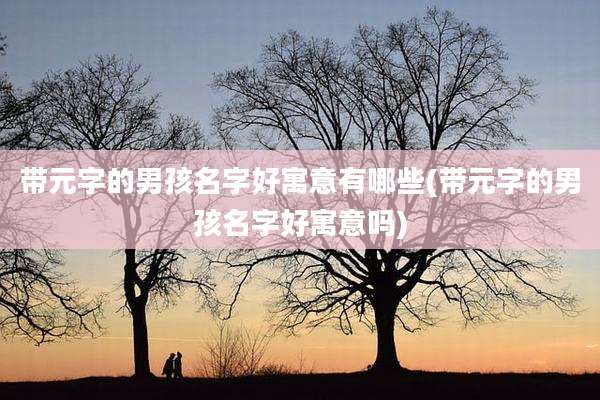 带元字的男孩名字好寓意有哪些(带元字的男孩名字好寓意吗)