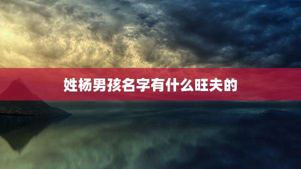 姓杨男孩名字有什么旺夫的