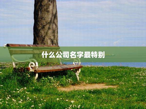 什么公司名字最特别