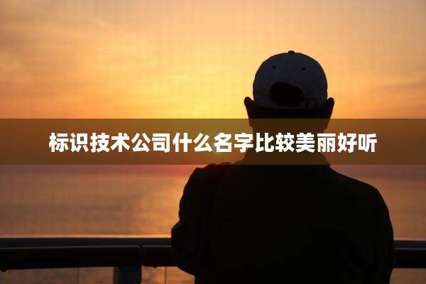 标识技术公司什么名字比较美丽好听
