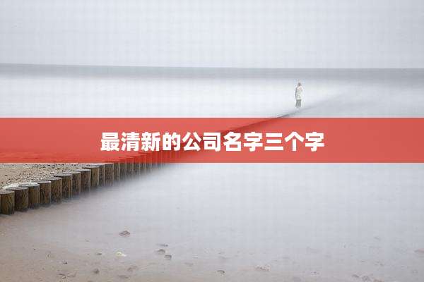 最清新的公司名字三个字