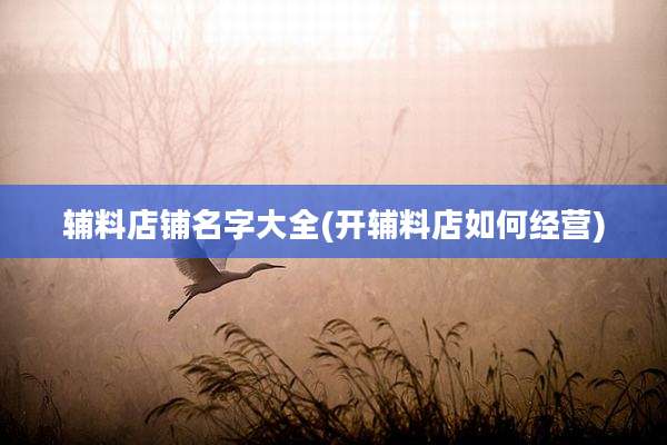 辅料店铺名字大全(开辅料店如何经营)