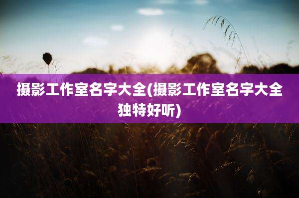 摄影工作室名字大全(摄影工作室名字大全独特好听)