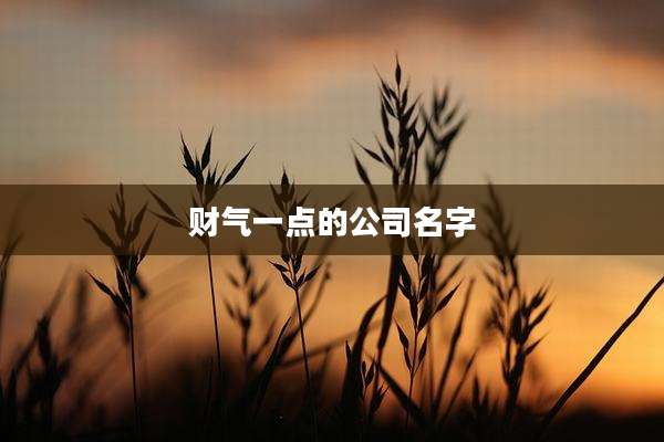 财气一点的公司名字