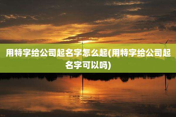 用特字给公司起名字怎么起(用特字给公司起名字可以吗)