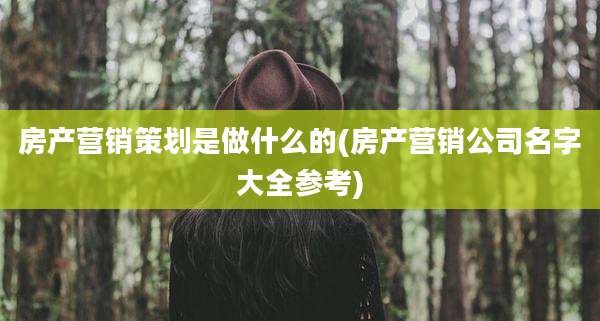 房产营销策划是做什么的(房产营销公司名字大全参考)