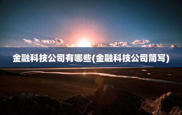 金融科技公司有哪些(金融科技公司简写)