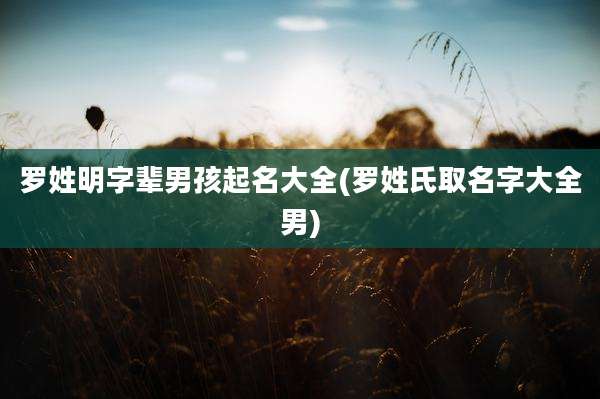 罗姓明字辈男孩起名大全(罗姓氏取名字大全男)