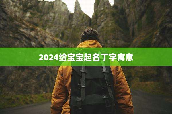 2024给宝宝起名丁字寓意