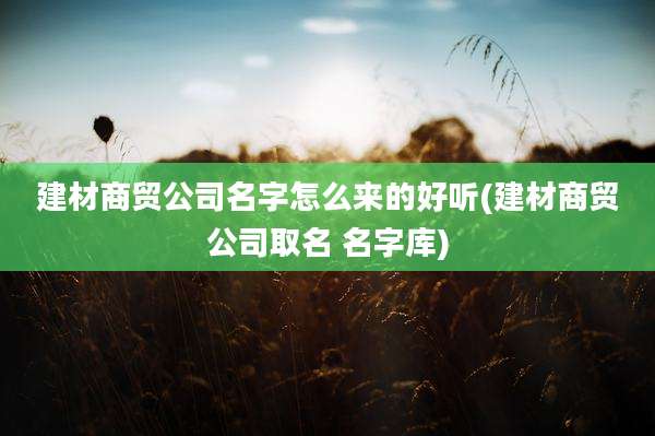 建材商贸公司名字怎么来的好听(建材商贸公司取名 名字库)