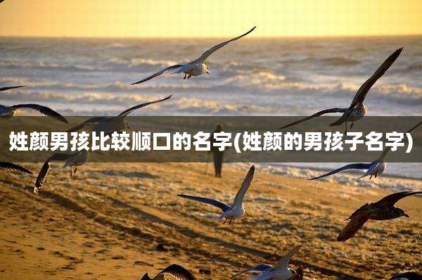 姓颜男孩比较顺口的名字(姓颜的男孩子名字)