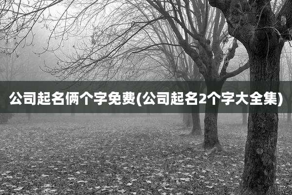 公司起名俩个字免费(公司起名2个字大全集)