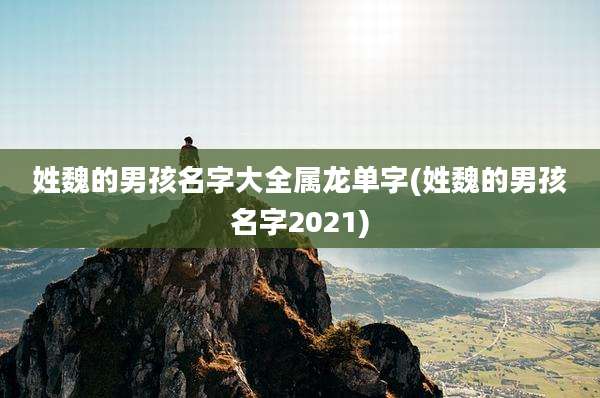 姓魏的男孩名字大全属龙单字(姓魏的男孩名字2021)