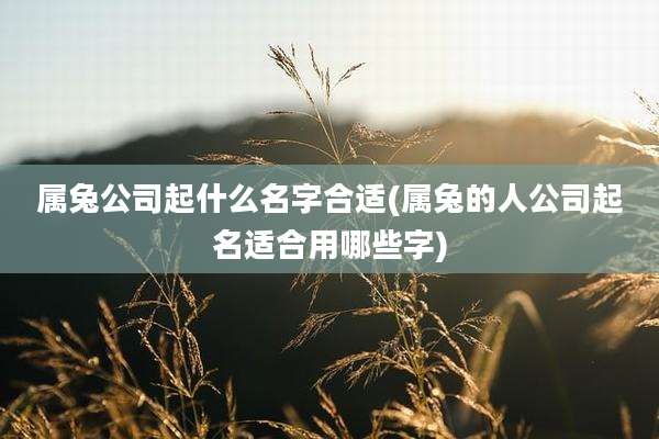 属兔公司起什么名字合适(属兔的人公司起名适合用哪些字)