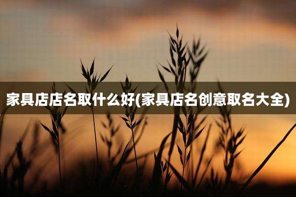家具店店名取什么好(家具店名创意取名大全)